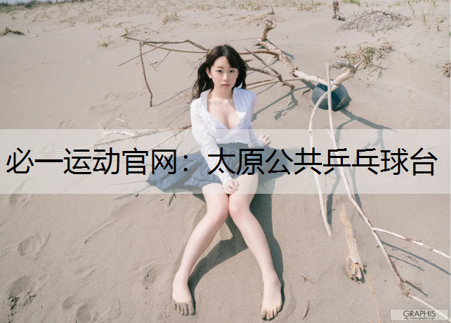 太原公共乒乓球台