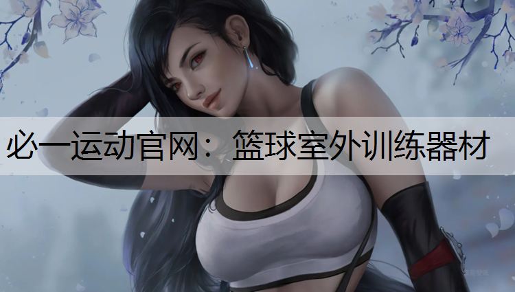 篮球室外训练器材