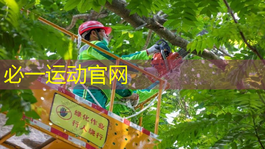网球拍应该选多少磅的