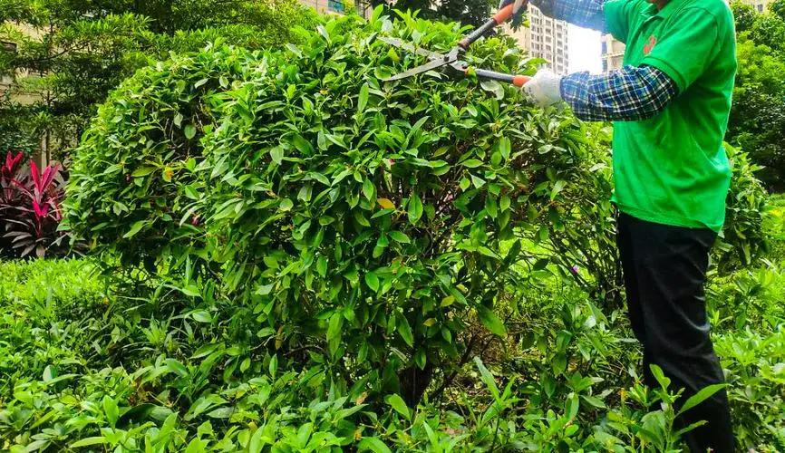 费德勒网球拍美版亚版区别