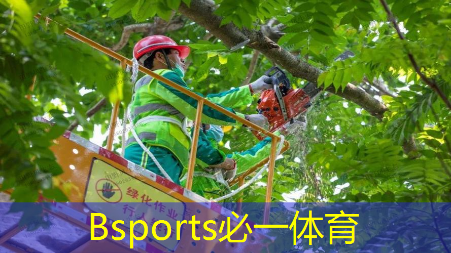 爱巢的网球拍怎么获得