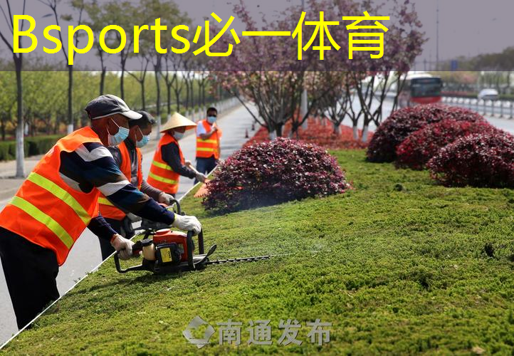 莫愁冬天没有春色，把握草坪种植步骤走向绿化！
