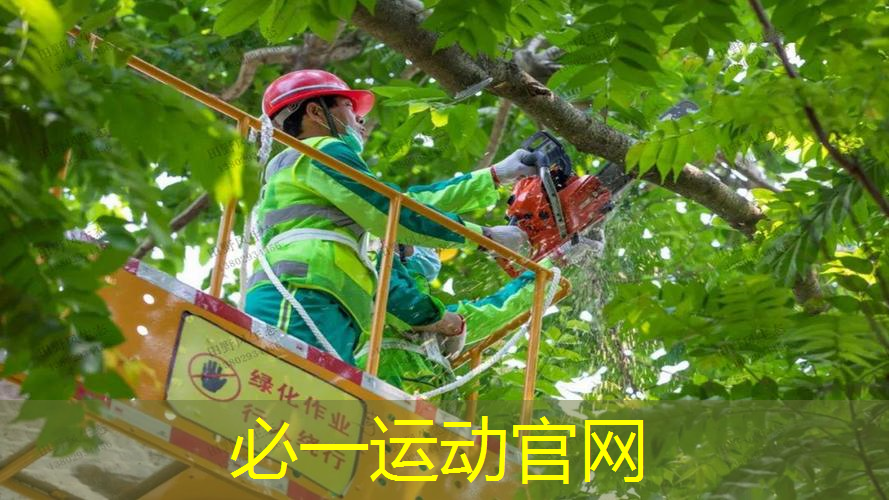 乒乓球台应该怎么说