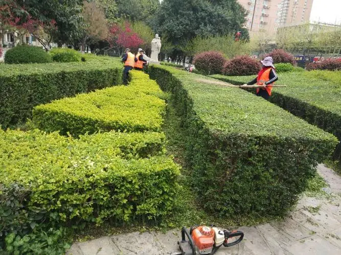 都说塑胶跑道好运动，但你知道它的分类吗？