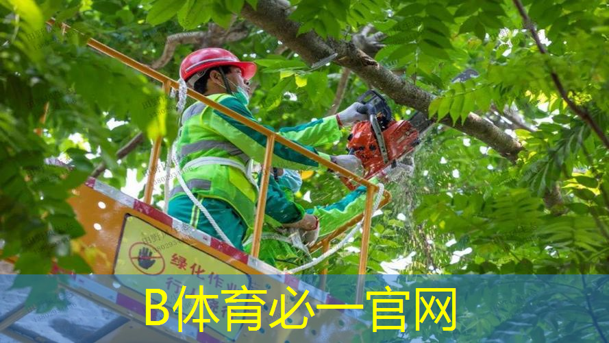 塑胶跑道材料损坏处理指南：选择适合修复的方法！