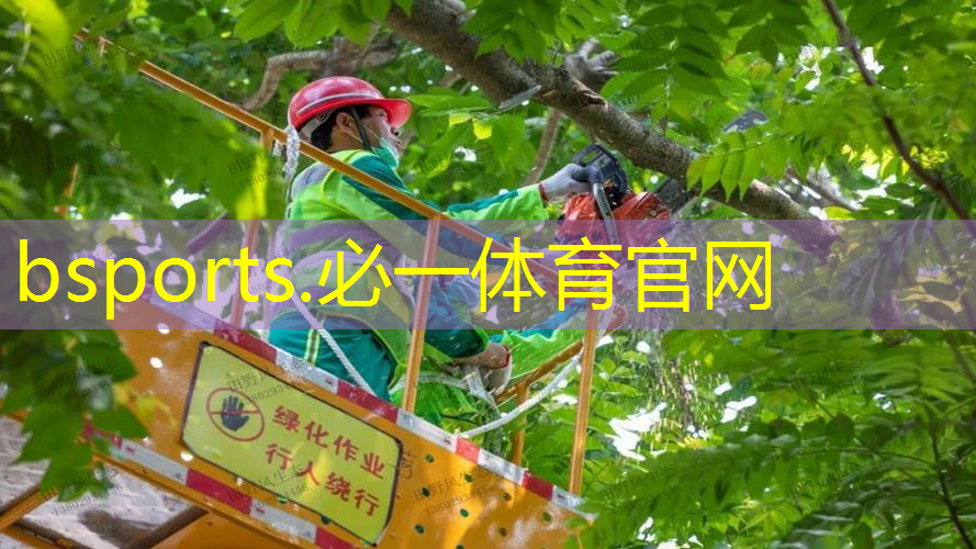 挑战自我，拥抱自然！室外体育健身器材带给你惊喜与成就感！