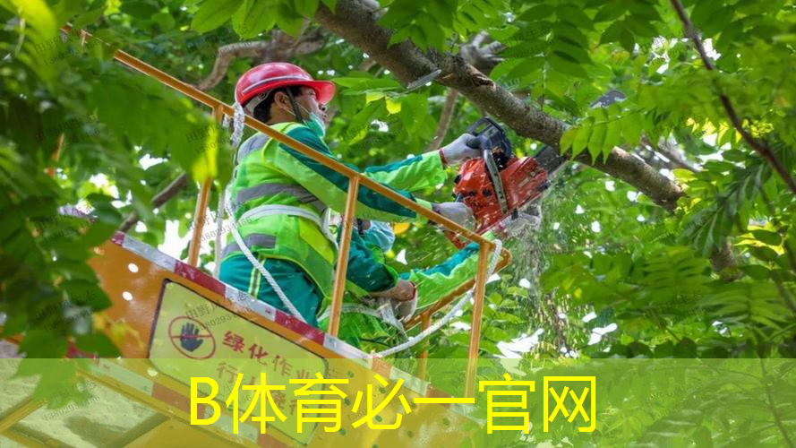 在家怎么养乒乓球台